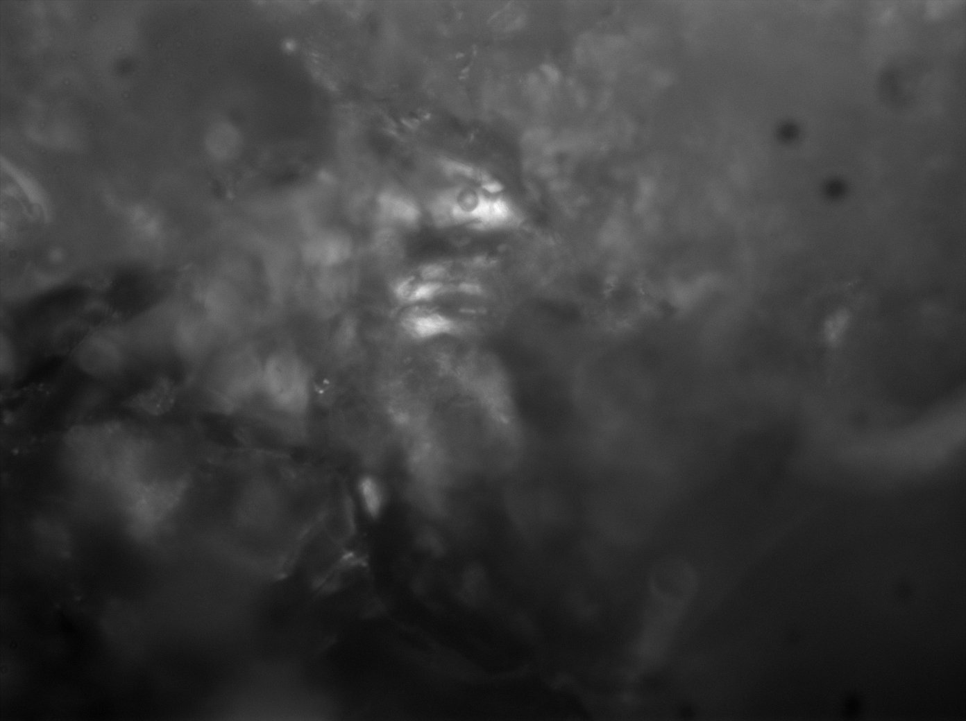 Astèrismes — 3