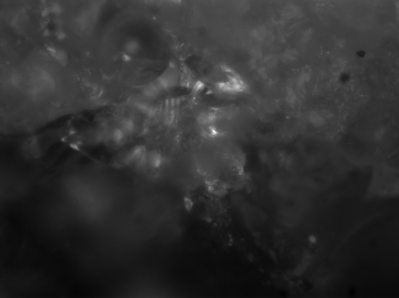 Astèrismes — 4