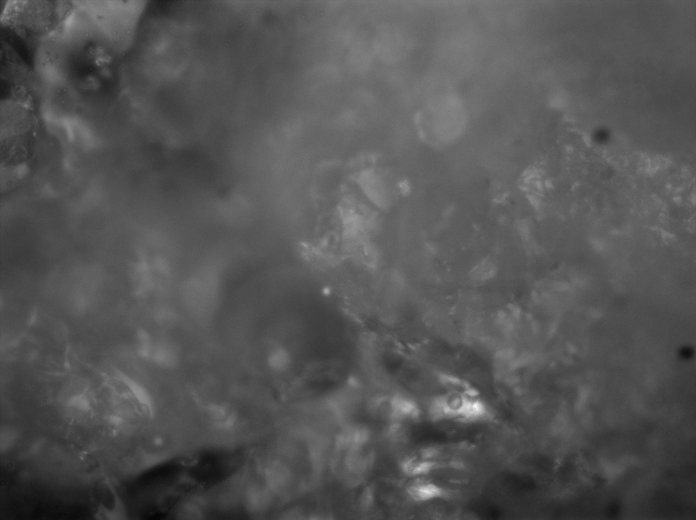 Astèrismes — 5