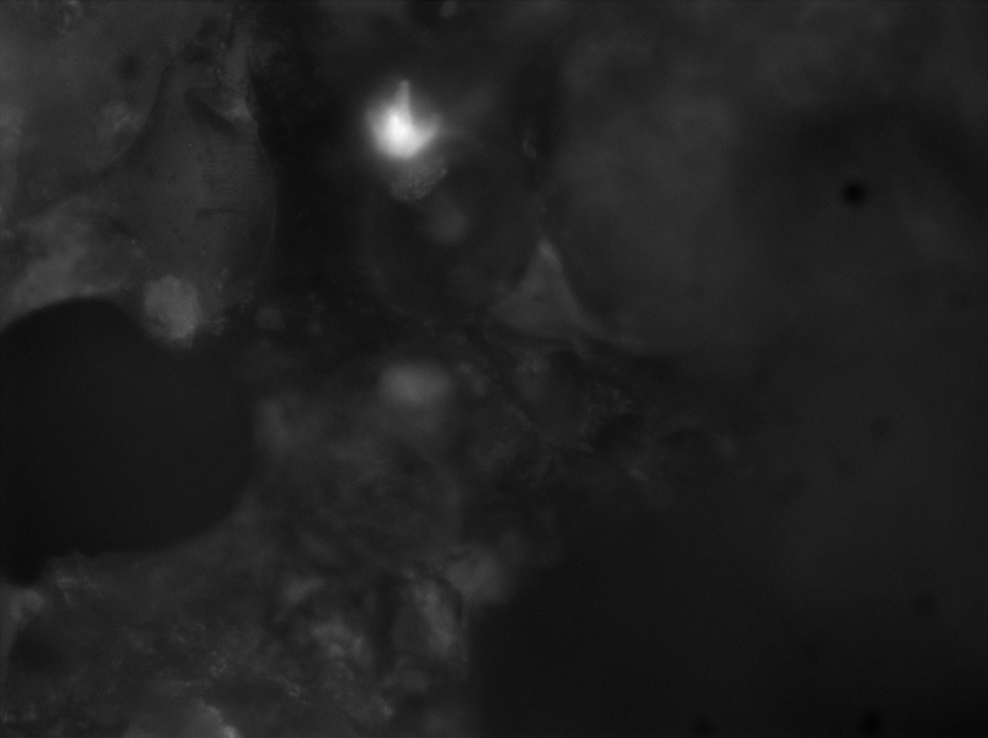 Astèrismes — 7