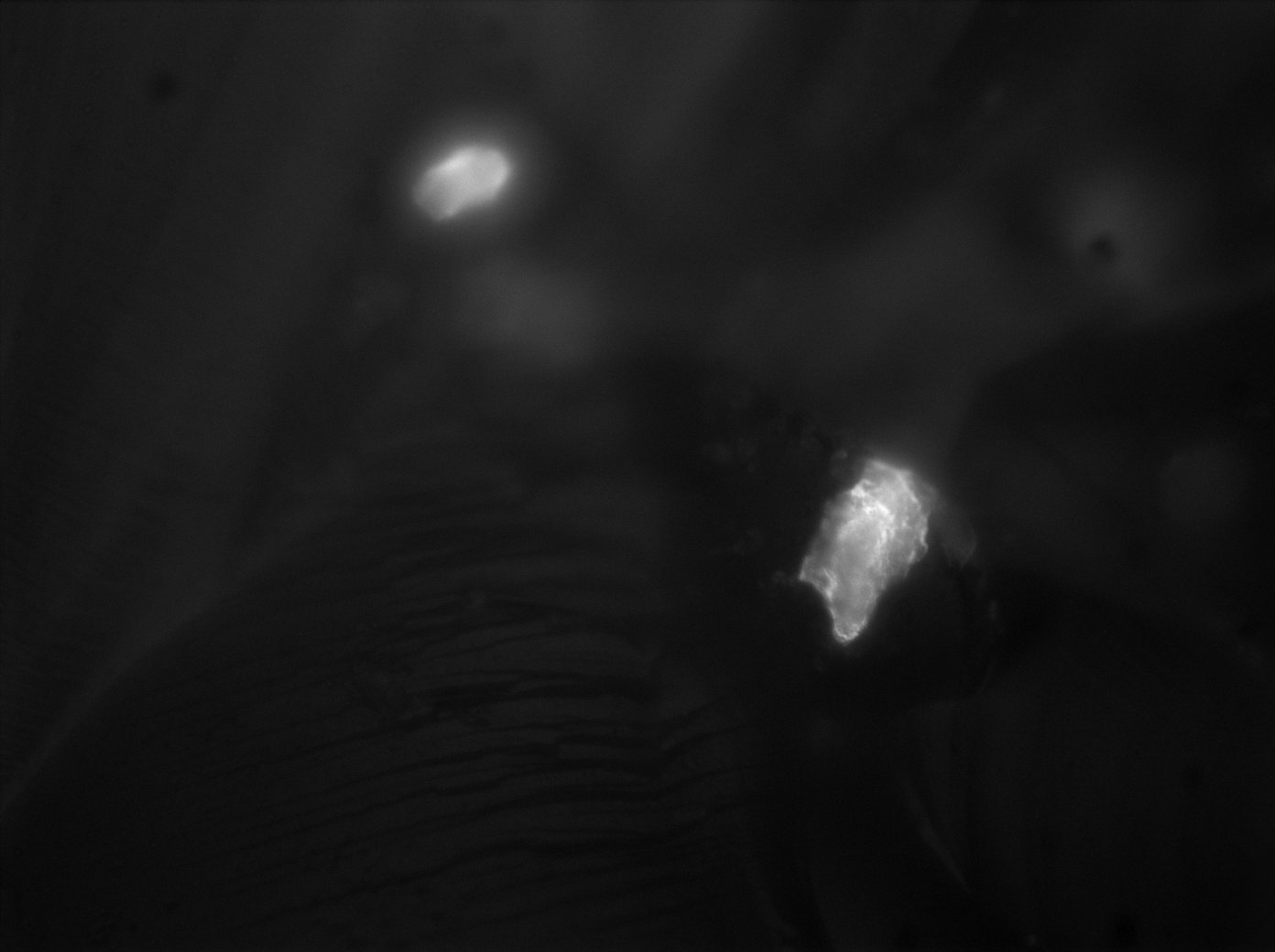 Astèrismes — 9