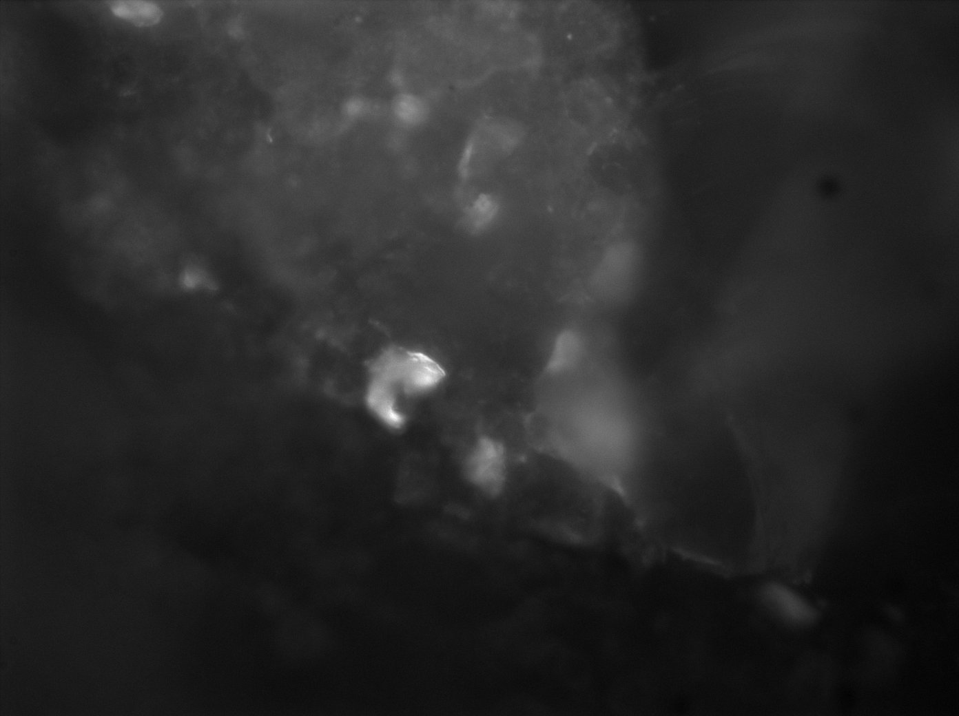 Astèrismes — 10
