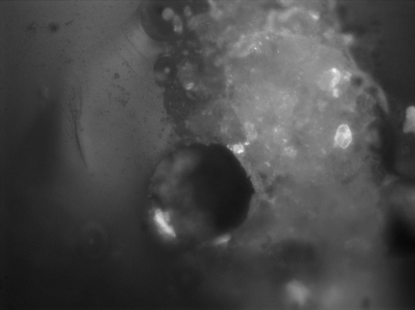 Astèrismes — 14