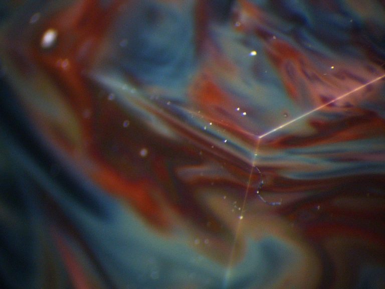 Cosmos