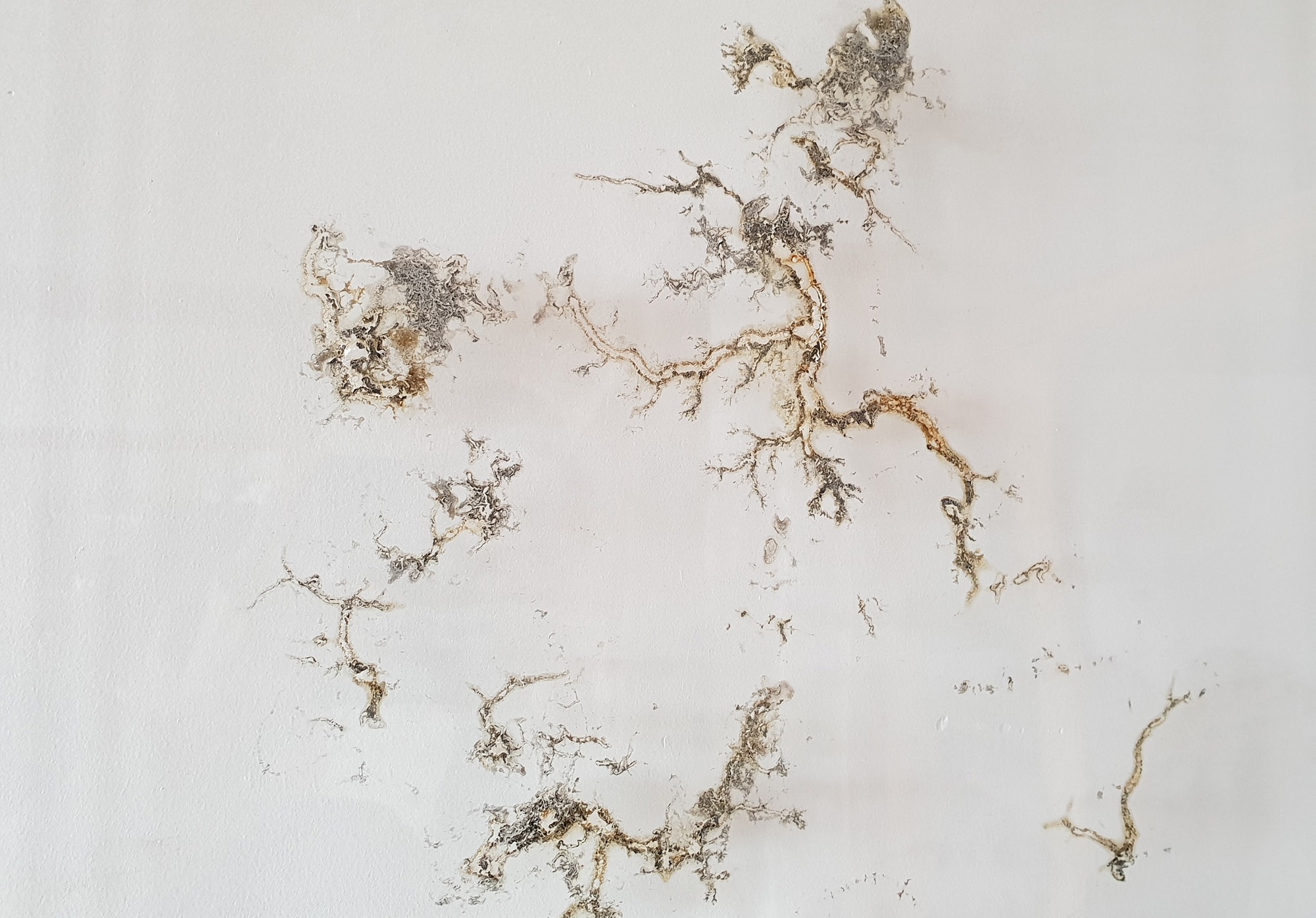 The Pathways Of Matter