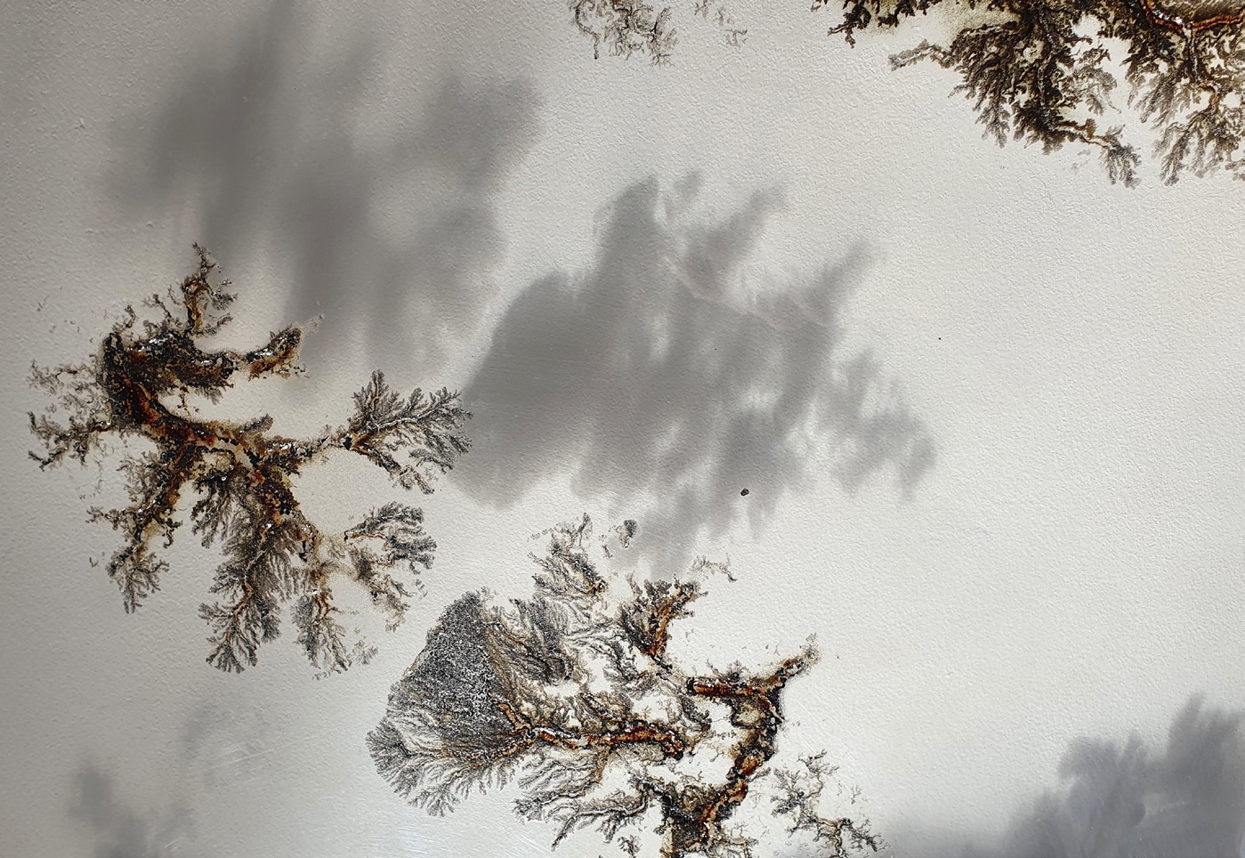 The Pathways Of Matter — 2