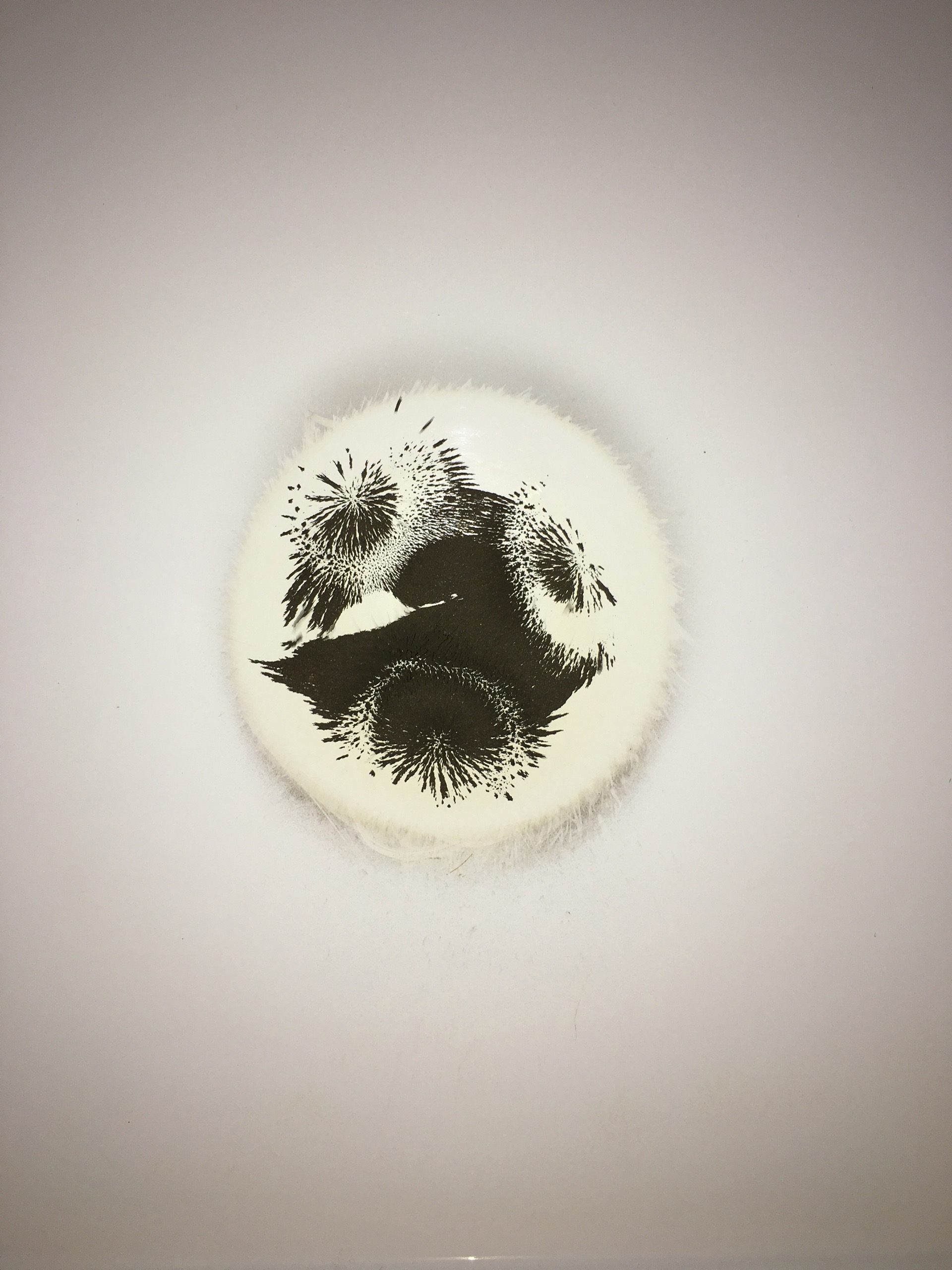 The Shape Of Time — 2