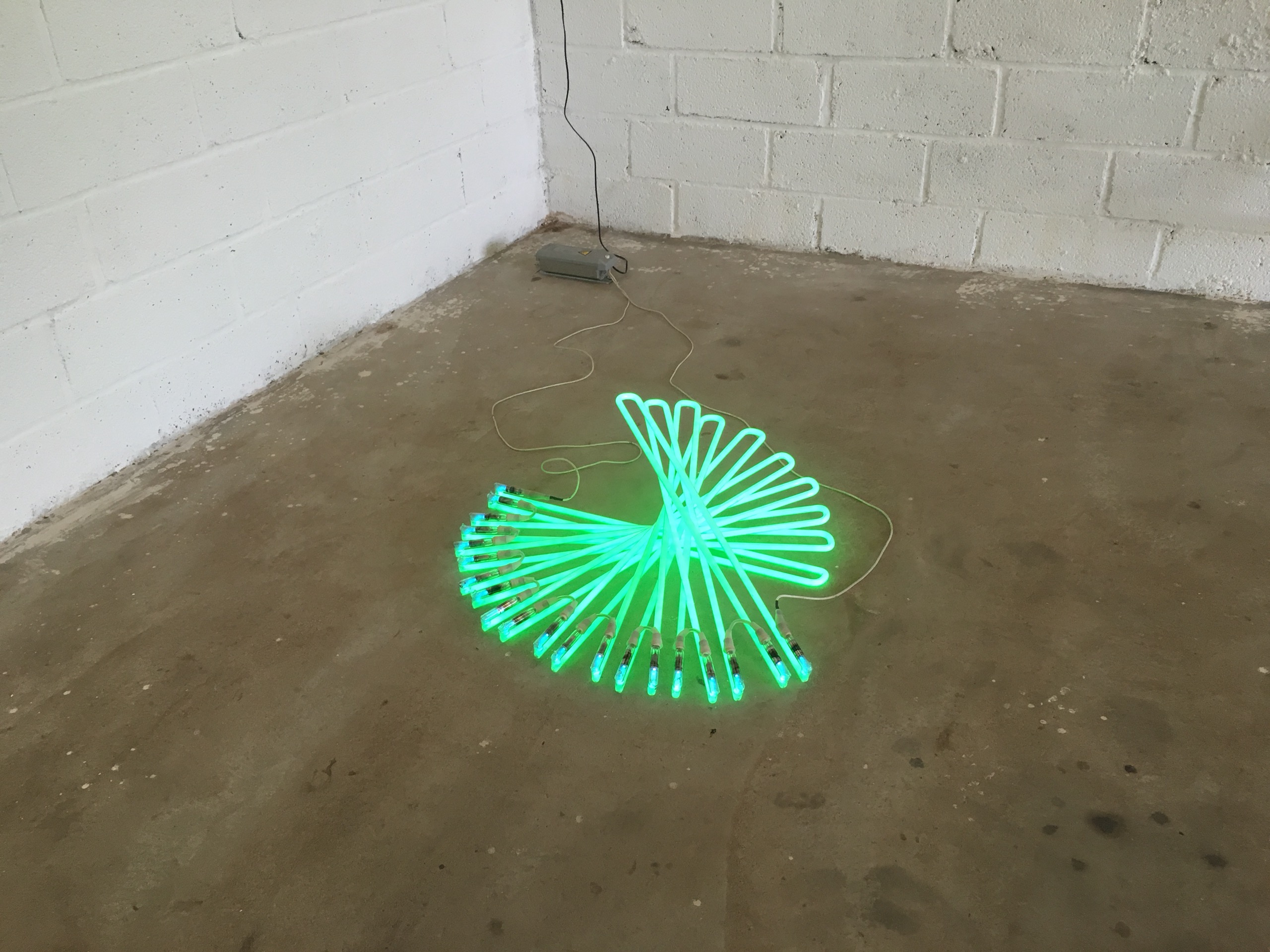 Vortex
